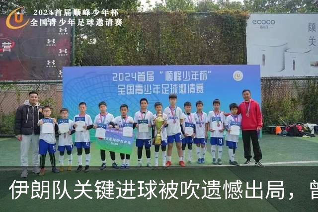 伊朗队关键进球被吹遗憾出局，曾任教哈佛大学的伊朗学者向FIFA索赔10亿美元